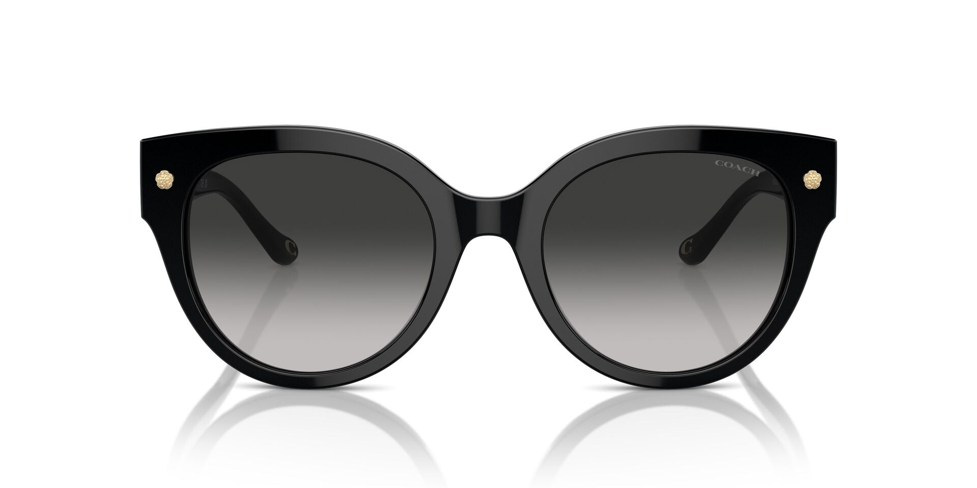 COACH HC8393U CR612 50023C 53 SUNGLASSES