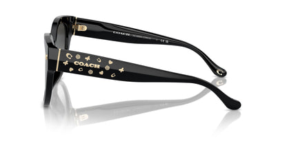 COACH HC8393U CR612 50023C 53 SUNGLASSES