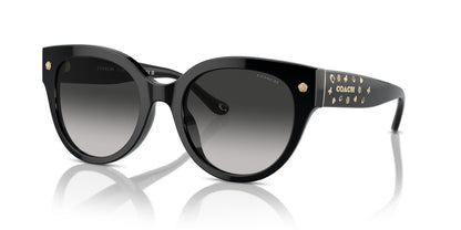 COACH HC8393U CR612 50023C 53 SUNGLASSES
