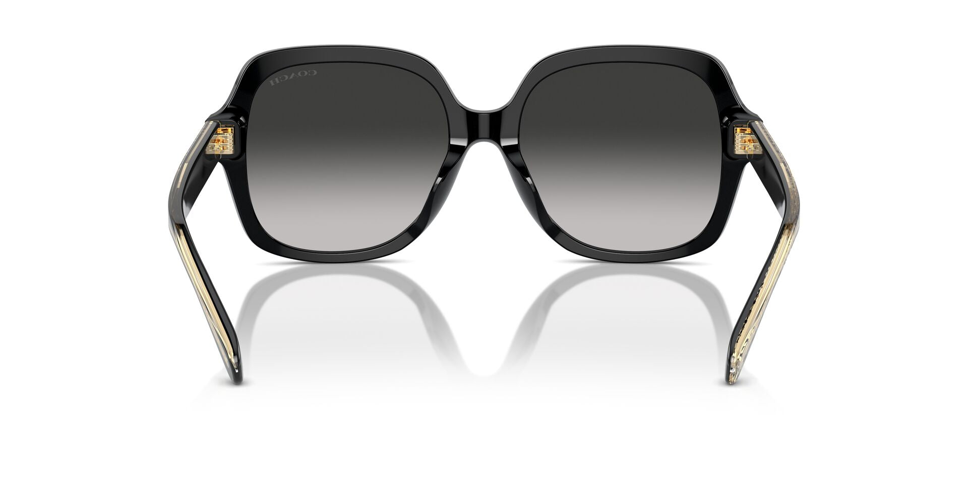 COACH HC8395U CR614 50023C 54 SUNGLASSES