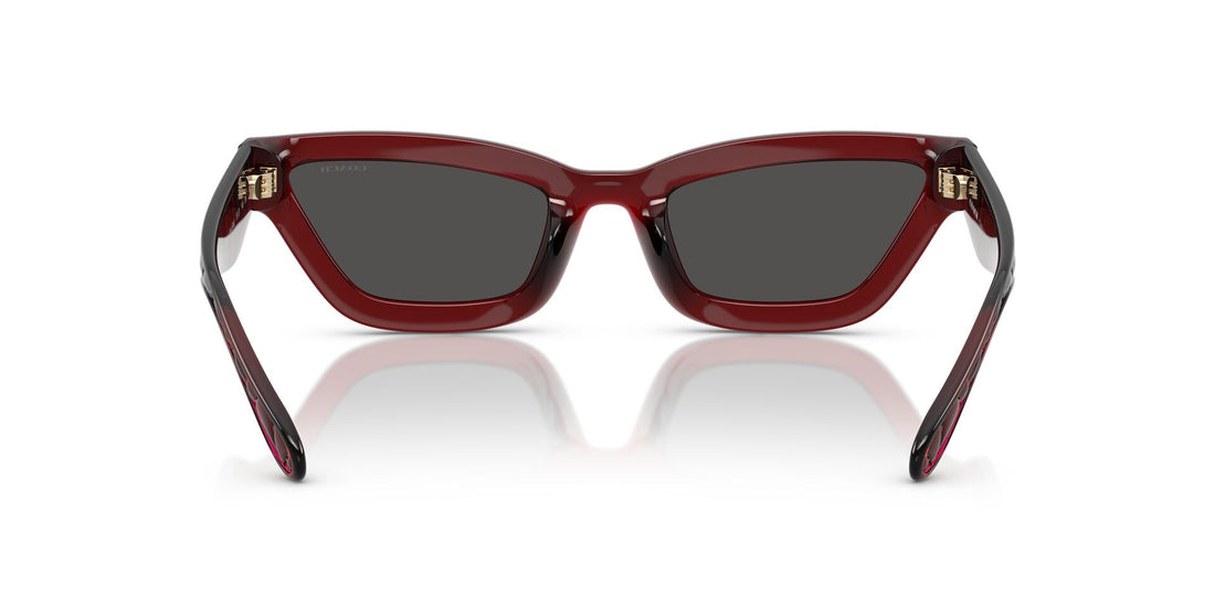 COACH HC8420U CAD28 587487 55 SUNGLASSES