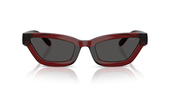 COACH HC8420U CAD28 587487 55 SUNGLASSES