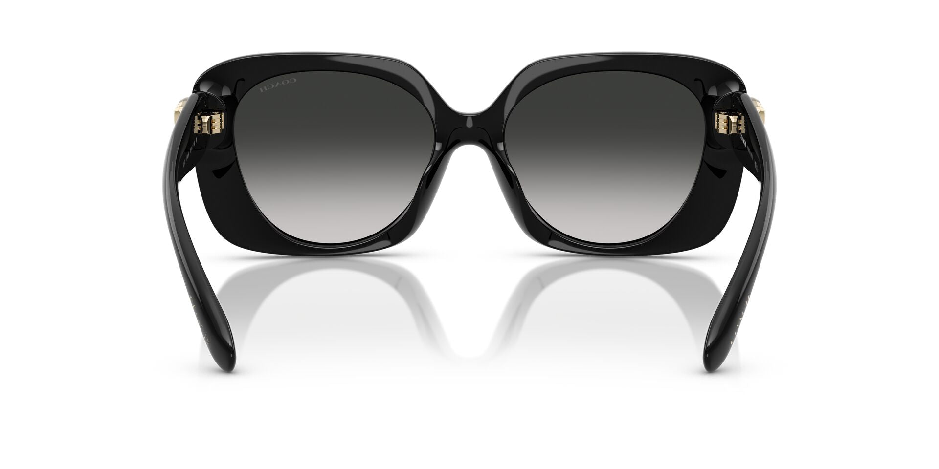 COACH HC8422U CAD33 50023C 55 SUNGLASSES