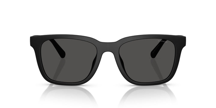 COACH HC8426U CAD81 500287 54 SUNGLASSES