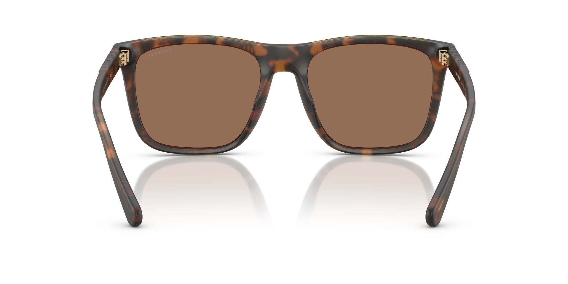 COACH HC8427U CAE78 512073 57 SUNGLASSES