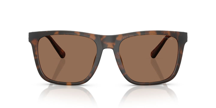 COACH HC8427U CAE78 512073 57 SUNGLASSES