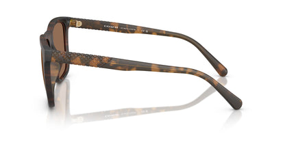 COACH HC8427U CAE78 512073 57 SUNGLASSES