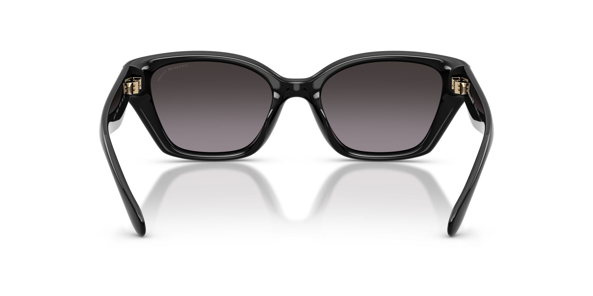 COACH HC8434U 5002F4 53 SUNGLASSES
