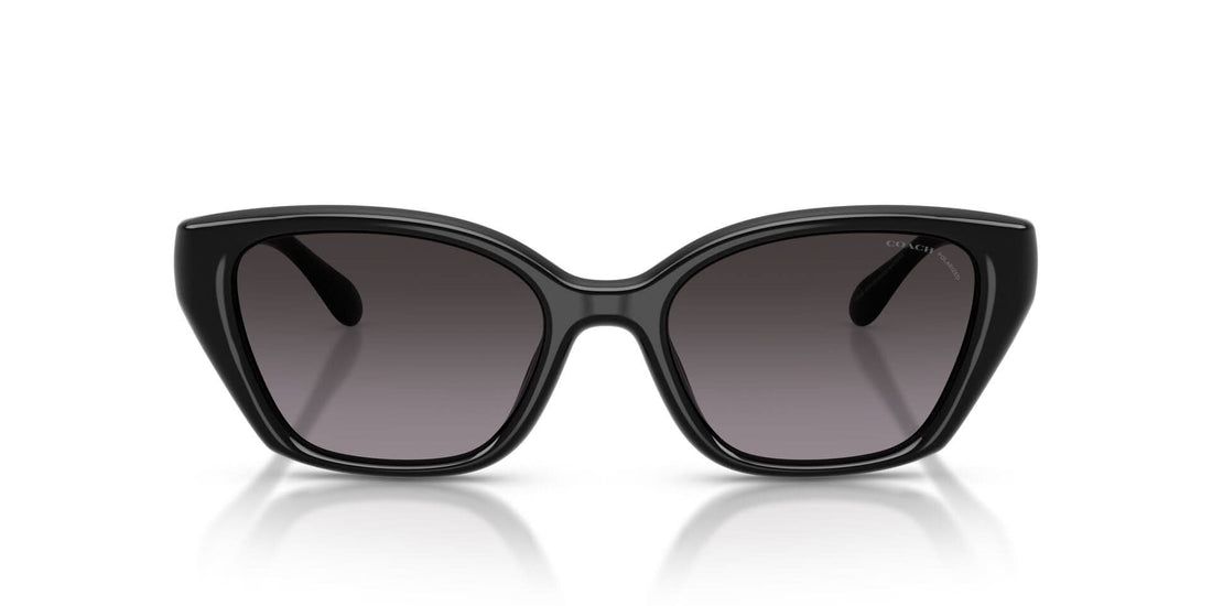 COACH HC8434U CBY62 5002F4 53 SUNGLASSES