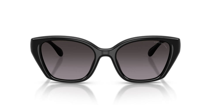 COACH HC8434U CBY62 5002F4 53 SUNGLASSES