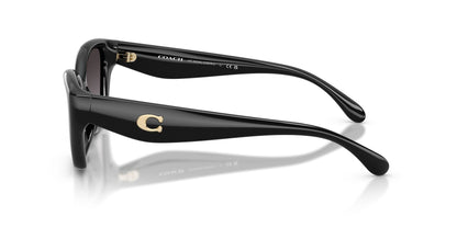 COACH HC8434U 5002F4 53 SUNGLASSES