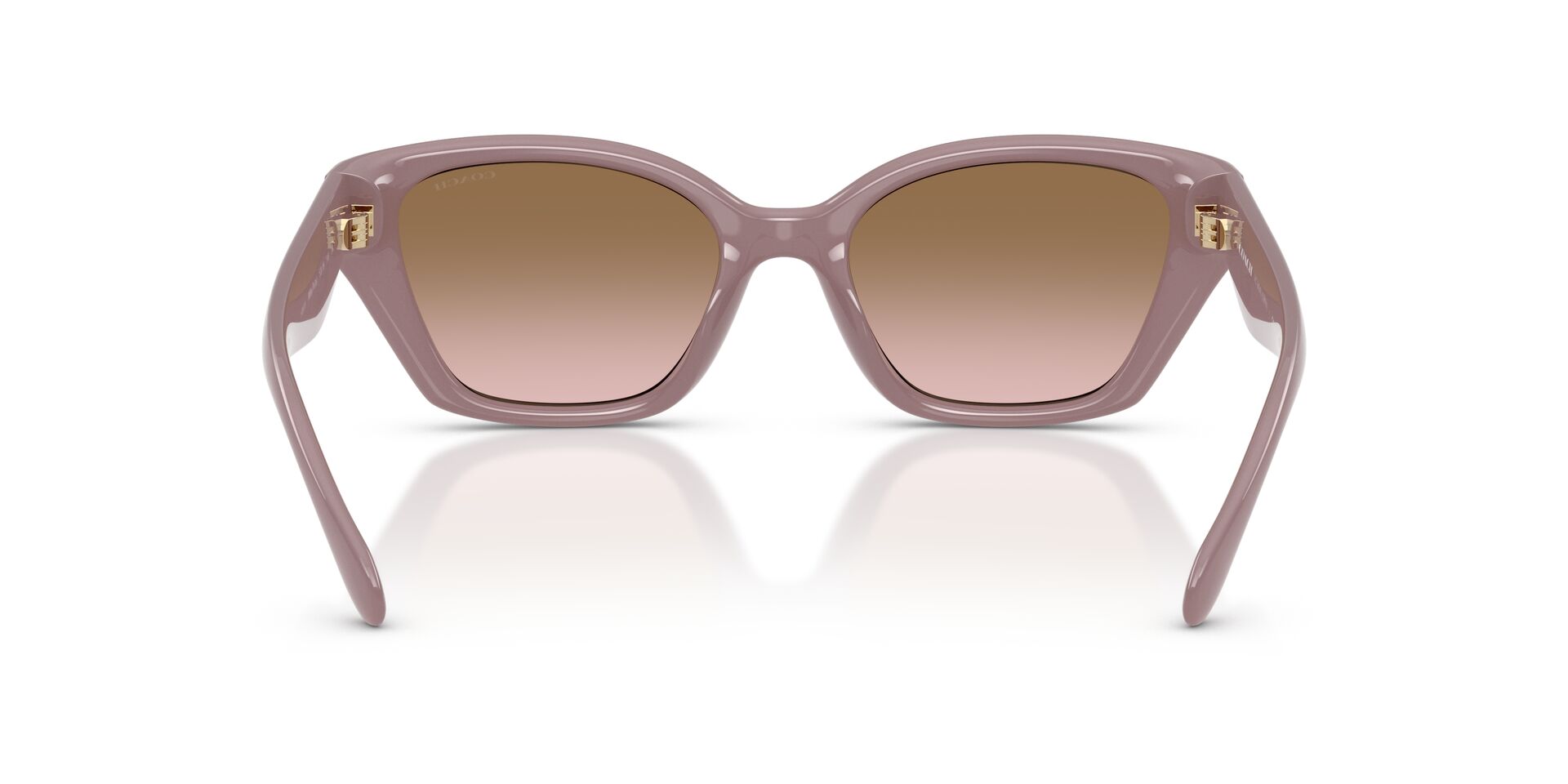 COACH HC8434U 549511 53 SUNGLASSES