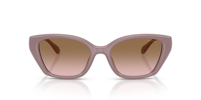COACH HC8434U 549511 53 SUNGLASSES