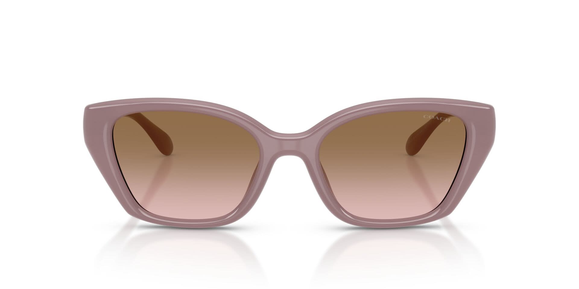 COACH HC8434U CBY91 549511 53 SUNGLASSES