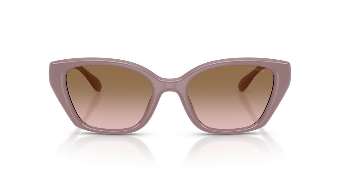 COACH HC8434U CBY91 549511 53 SUNGLASSES