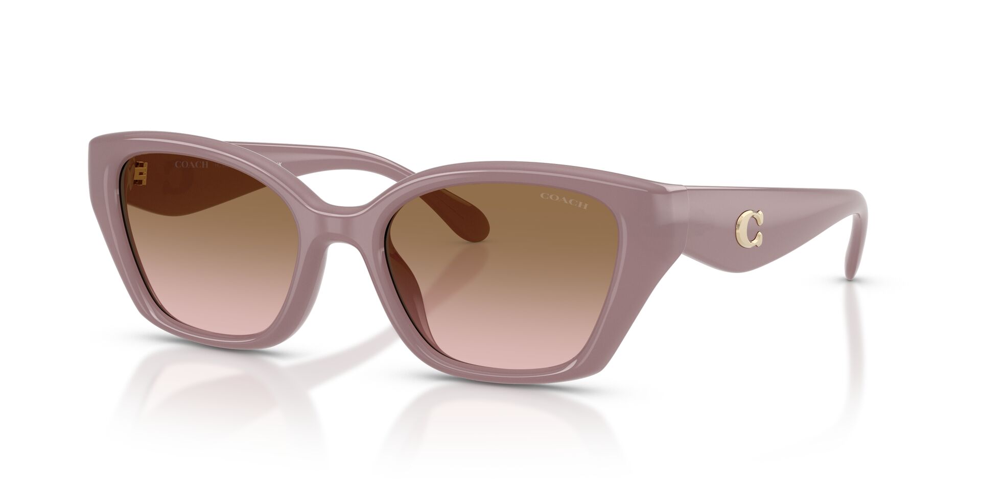 COACH HC8434U 549511 53 SUNGLASSES