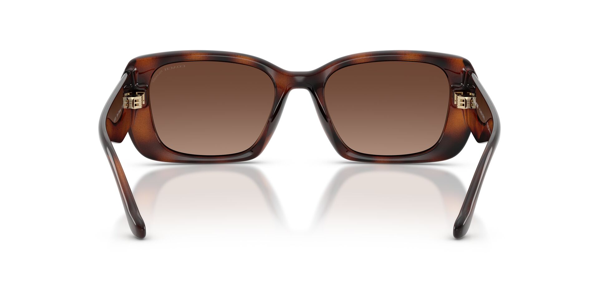 COACH HC8435U 5120T5 54 SUNGLASSES