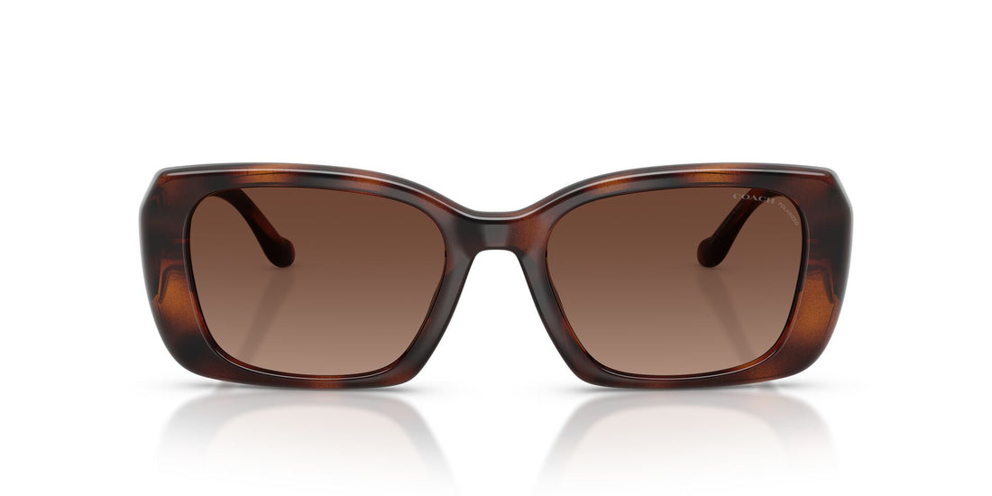 COACH HC8435U CBY83 5120T5 54 SUNGLASSES