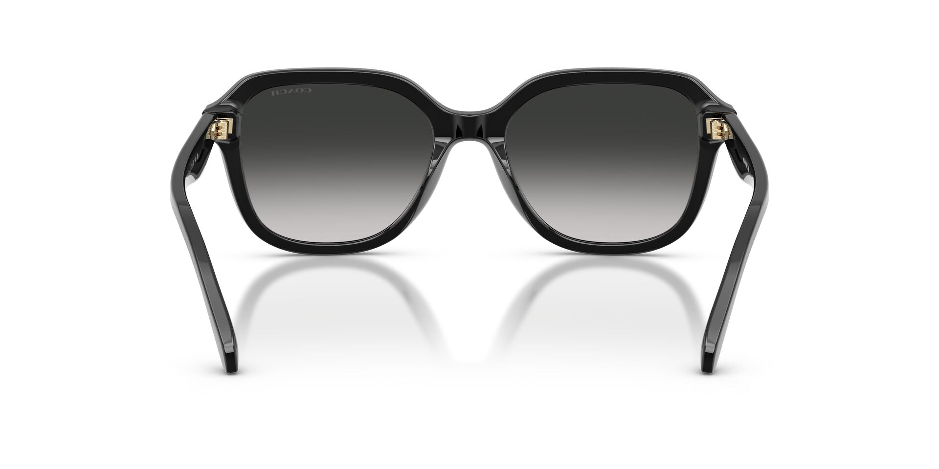 COACH HC8437U 50023C 53 SUNGLASSES