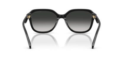 COACH HC8437U 50023C 53 SUNGLASSES