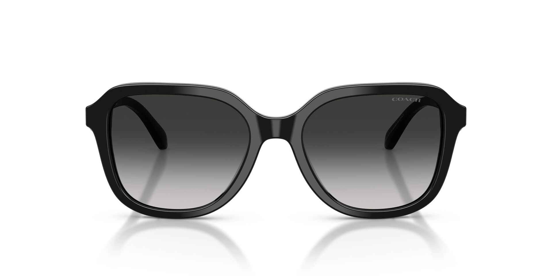 COACH HC8437U 50023C 53 SUNGLASSES