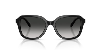COACH HC8437U 50023C 53 SUNGLASSES