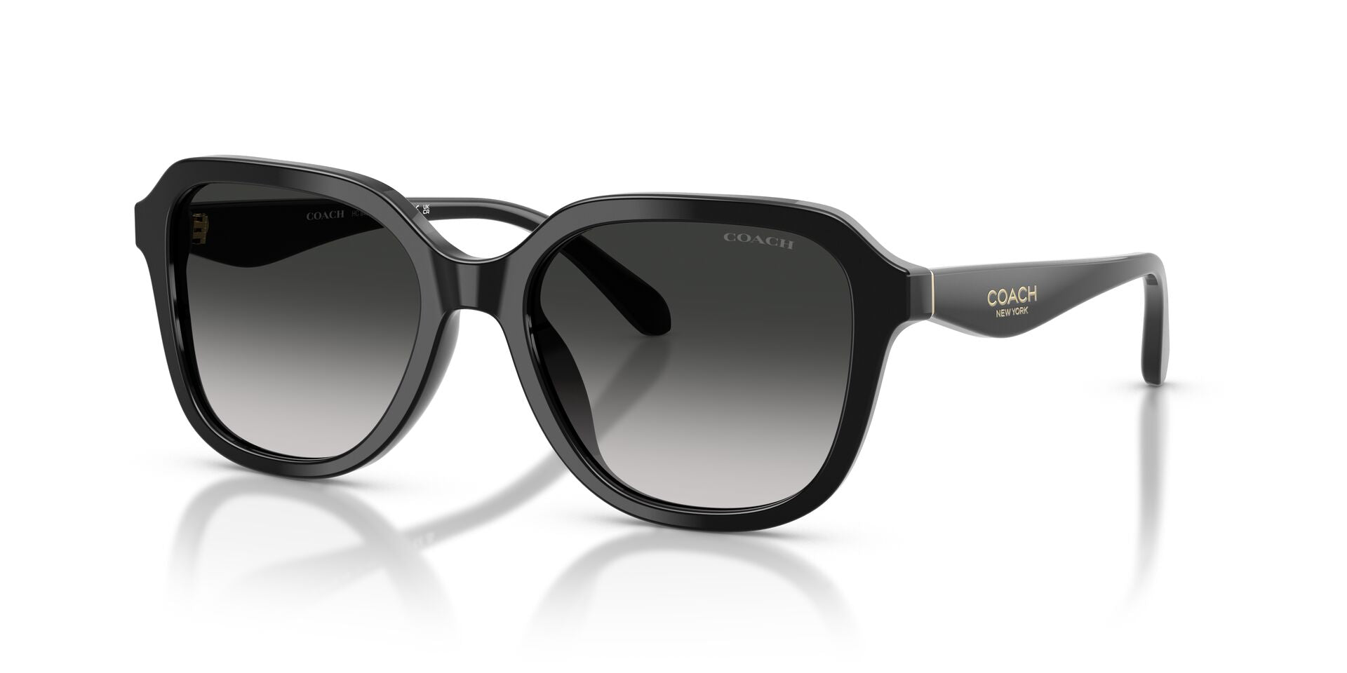 COACH HC8437U 50023C 53 SUNGLASSES