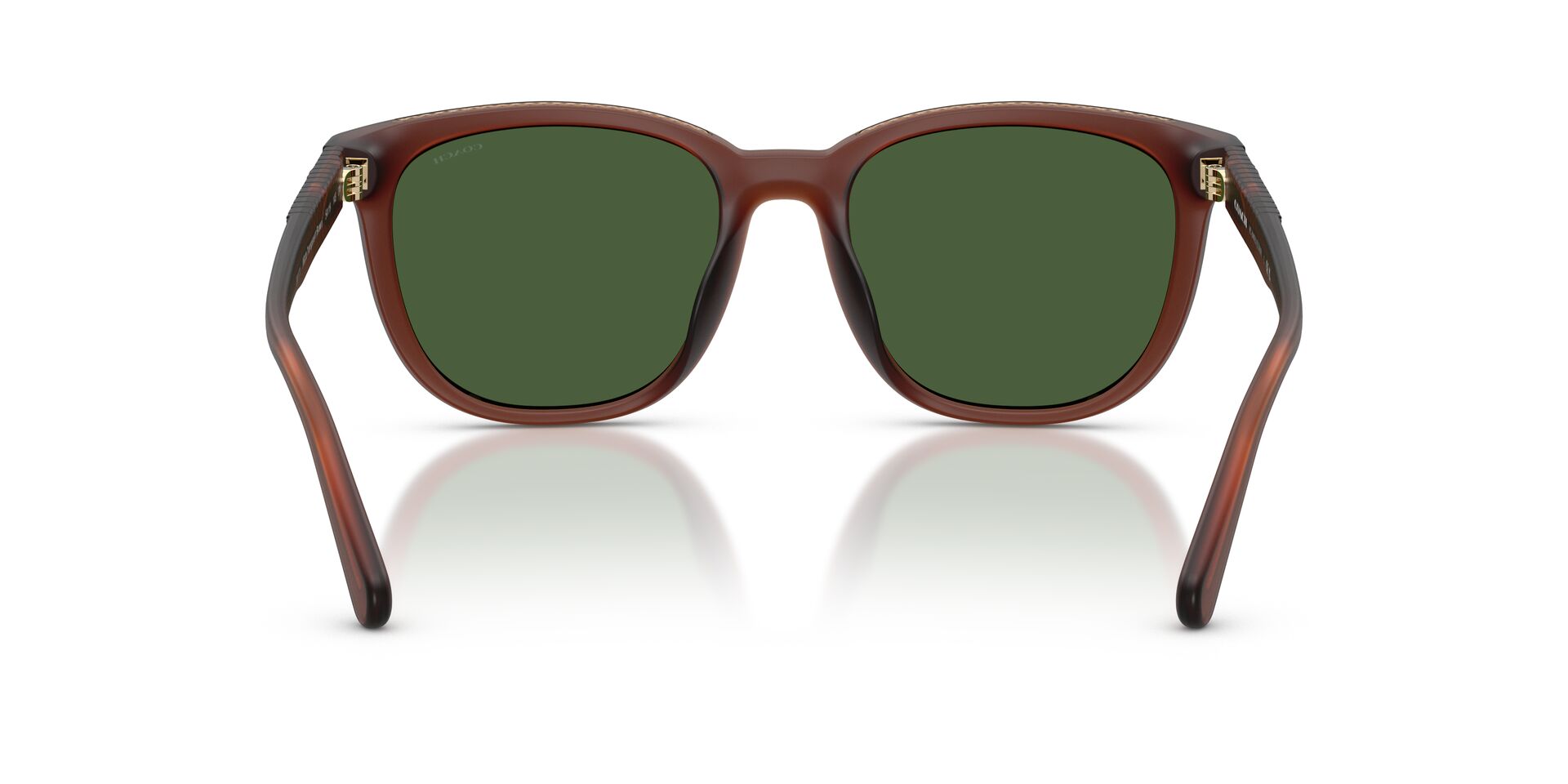 COACH HC8442U 591171 54 SUNGLASSES