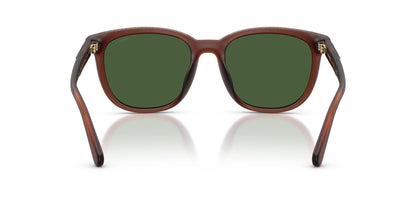 COACH HC8442U 591171 54 SUNGLASSES