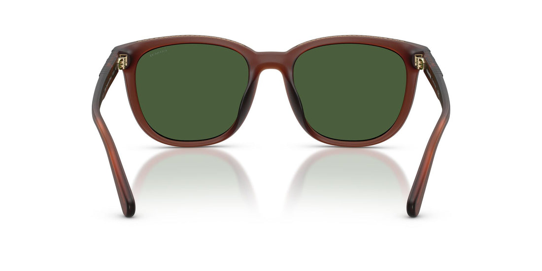 COACH HC8442U CCA00 591171 54 SUNGLASSES