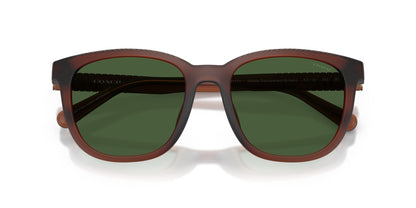 COACH HC8442U 591171 54 SUNGLASSES