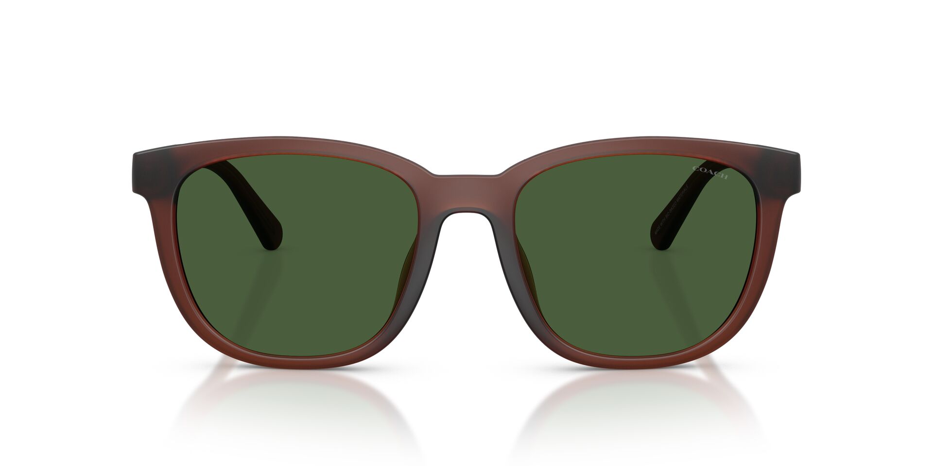 COACH HC8442U 591171 54 SUNGLASSES