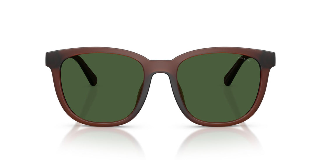 COACH HC8442U CCA00 591171 54 SUNGLASSES