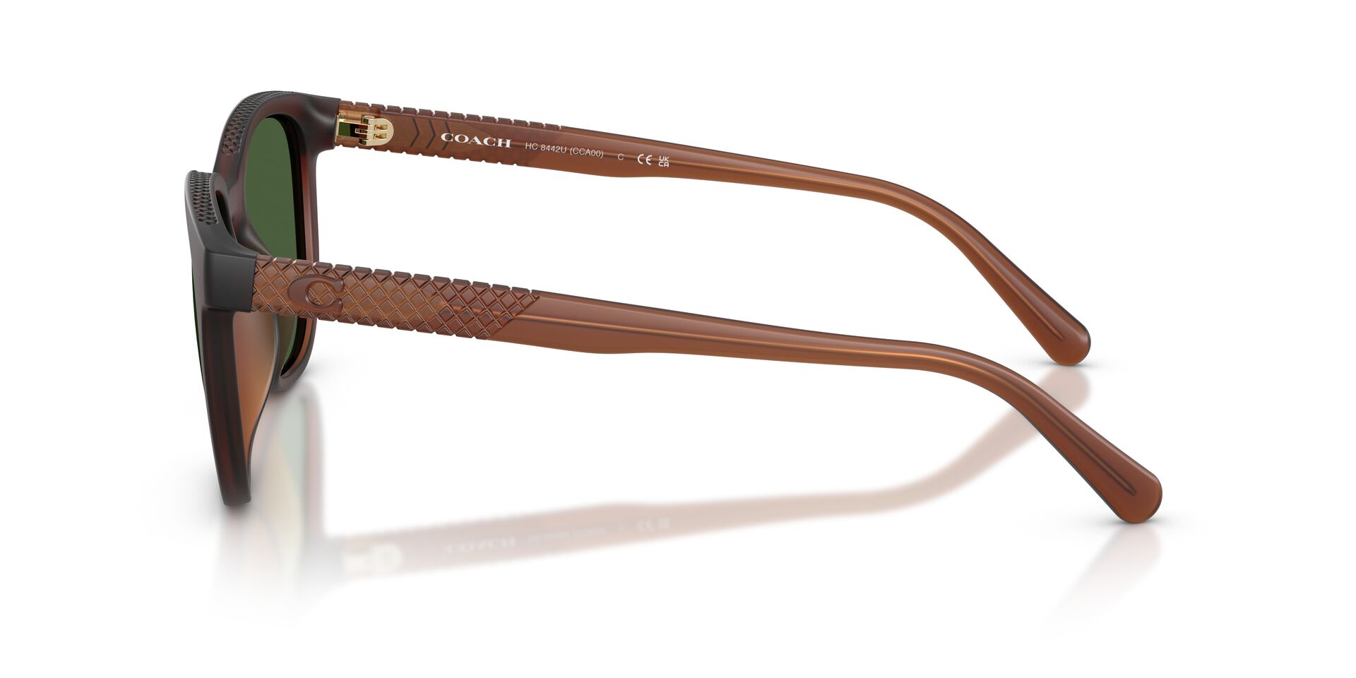 COACH HC8442U 591171 54 SUNGLASSES