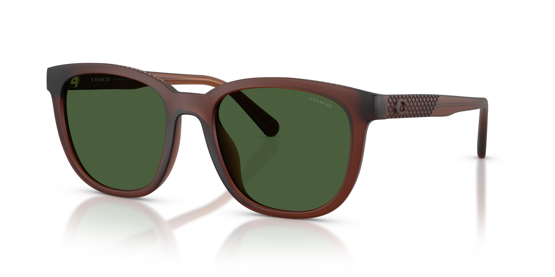 COACH HC8442U 591171 54 SUNGLASSES