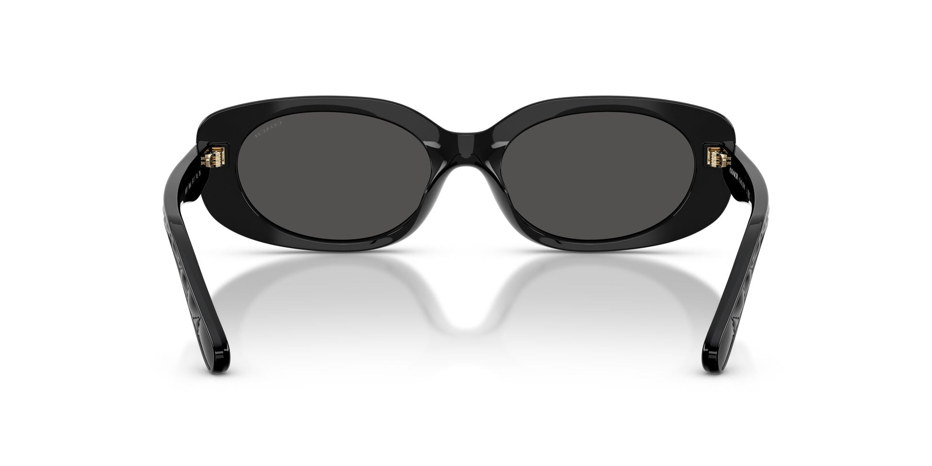 COACH HC8443D 500287 54 SUNGLASSES