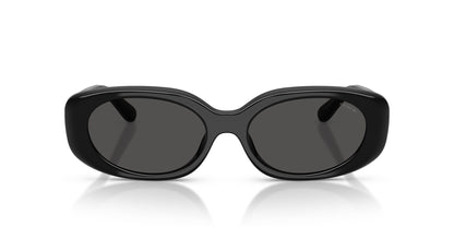 COACH HC8443D 500287 54 SUNGLASSES