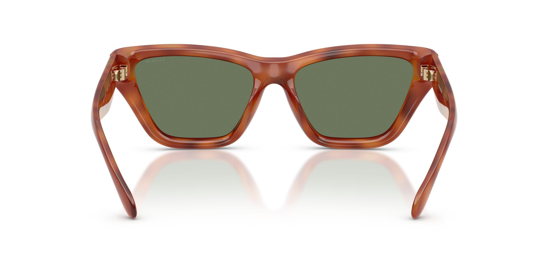 COACH HC8449U  577482 56 SUNGLASSES
