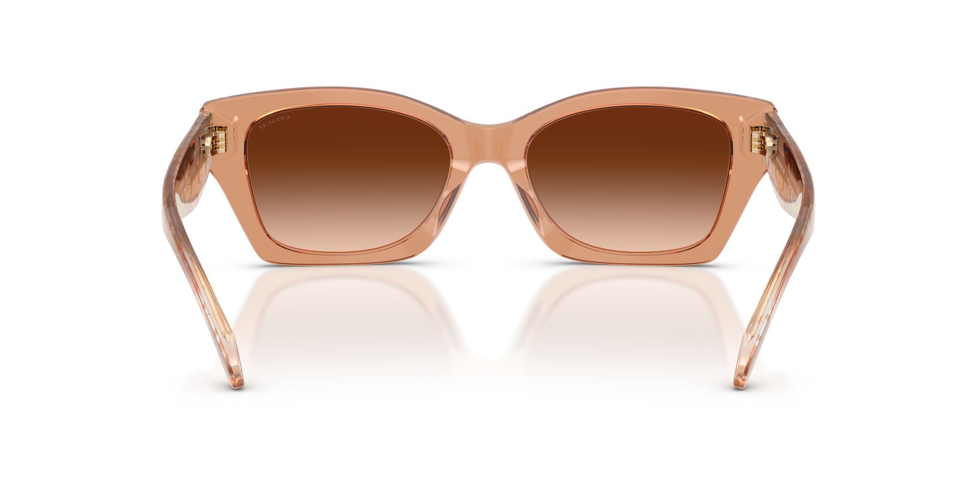 COACH HC8451U 593774 54 SUNGLASSES