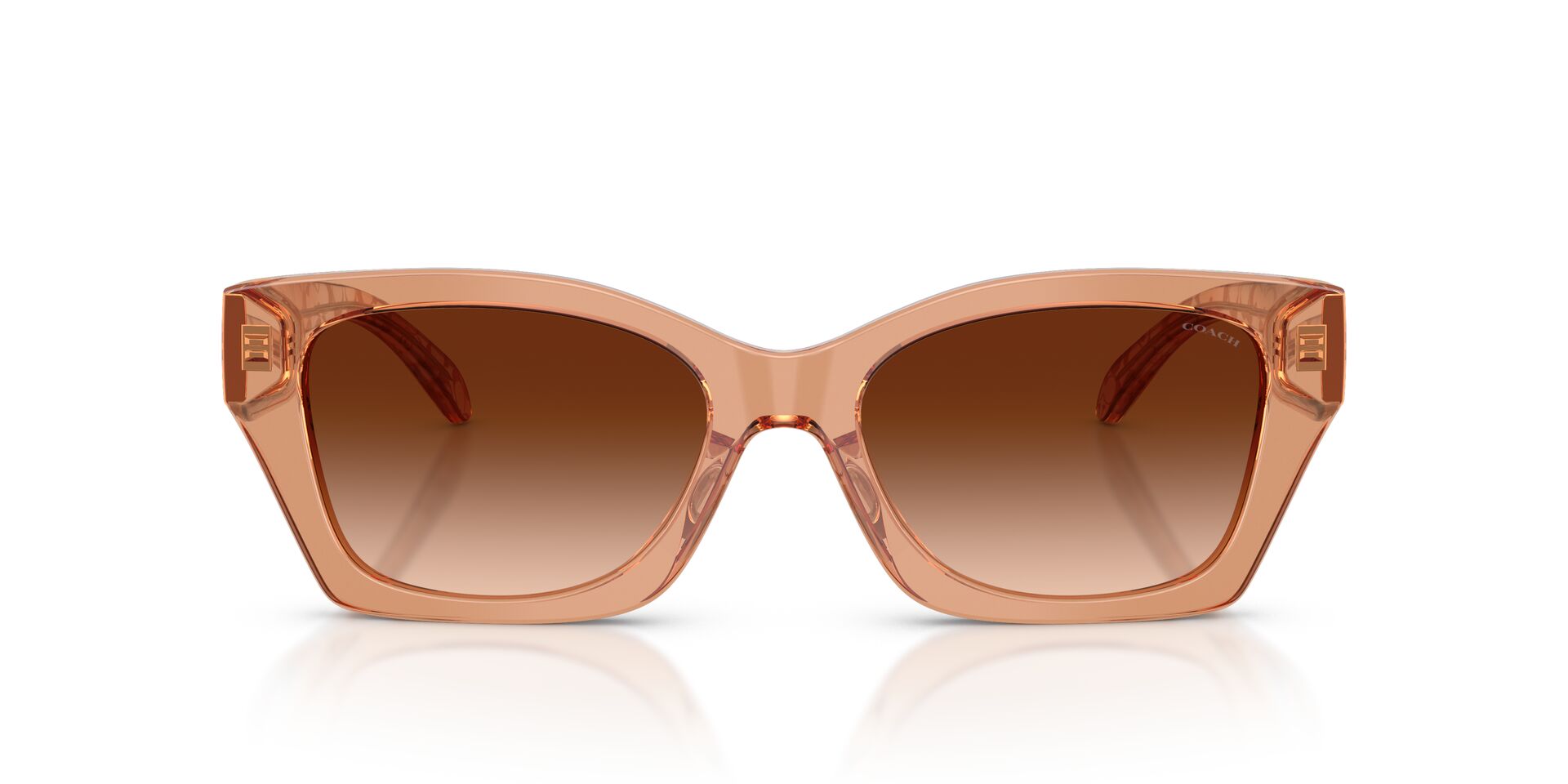 COACH HC8451U 593774 54 SUNGLASSES