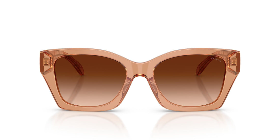 COACH HC8451U 593774 54 SUNGLASSES