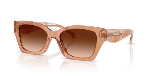 COACH HC8451U 593774 54 SUNGLASSES