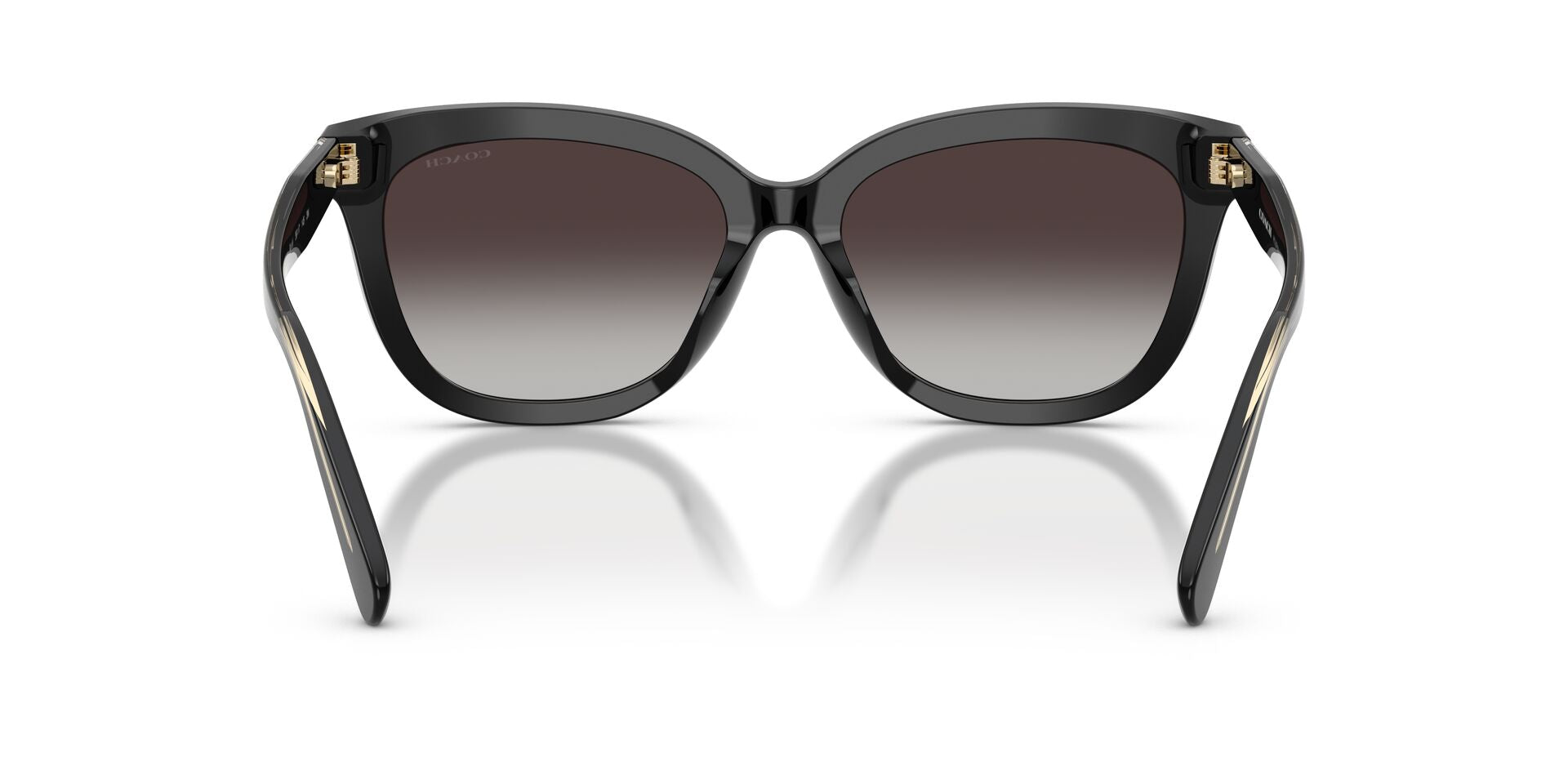 COACH HC8453U 50028G 56 SUNGLASSES