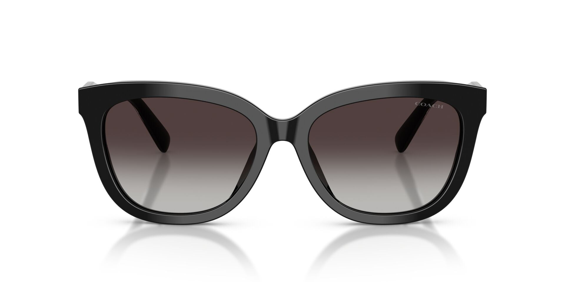 COACH HC8453U 50028G 56 SUNGLASSES