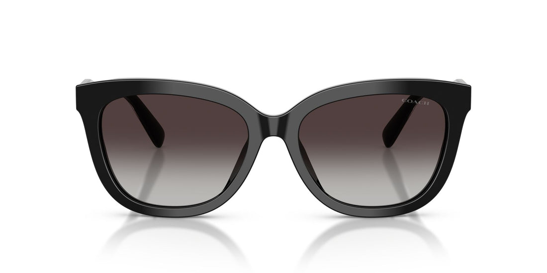 COACH HC8453U 50028G 56 SUNGLASSES