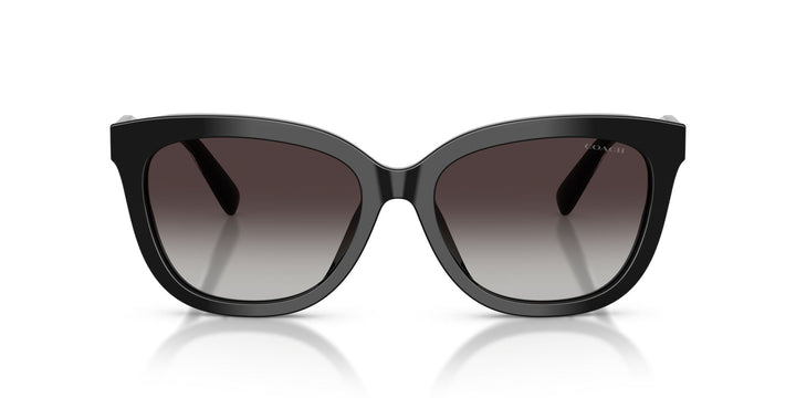 COACH HC8453U 50028G 56 SUNGLASSES