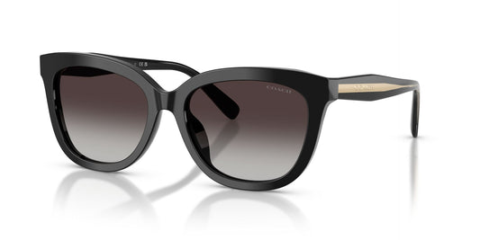 COACH HC8453U 50028G 56 SUNGLASSES