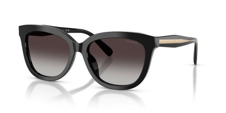 COACH HC8453U 50028G 56 SUNGLASSES