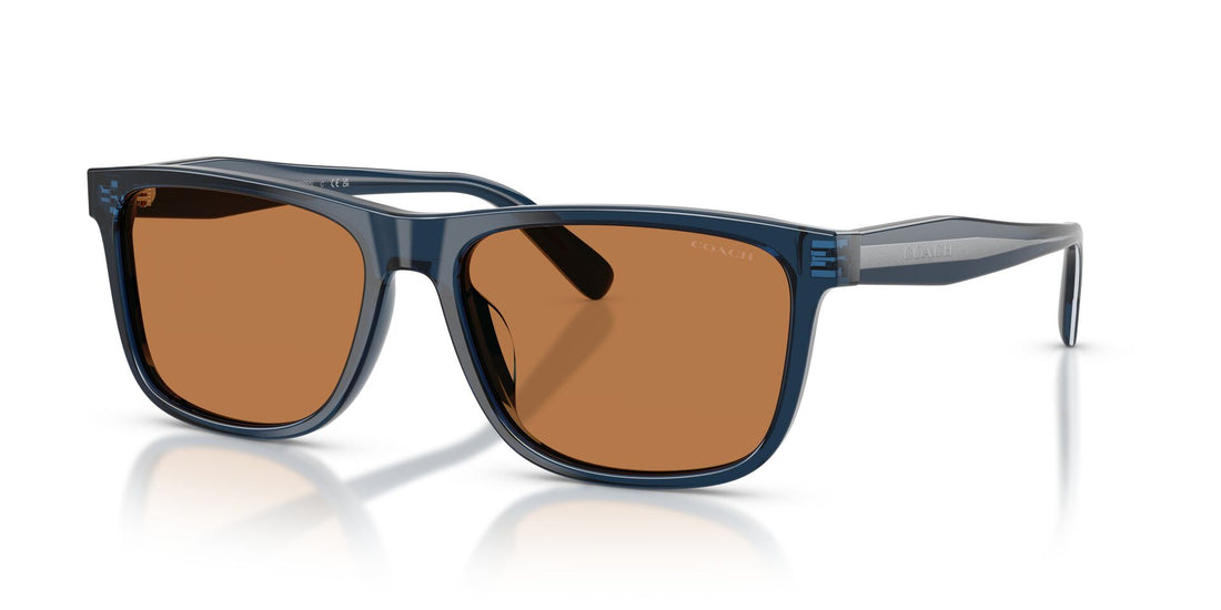 COACH HC8454U 575773 59 SUNGLASSES