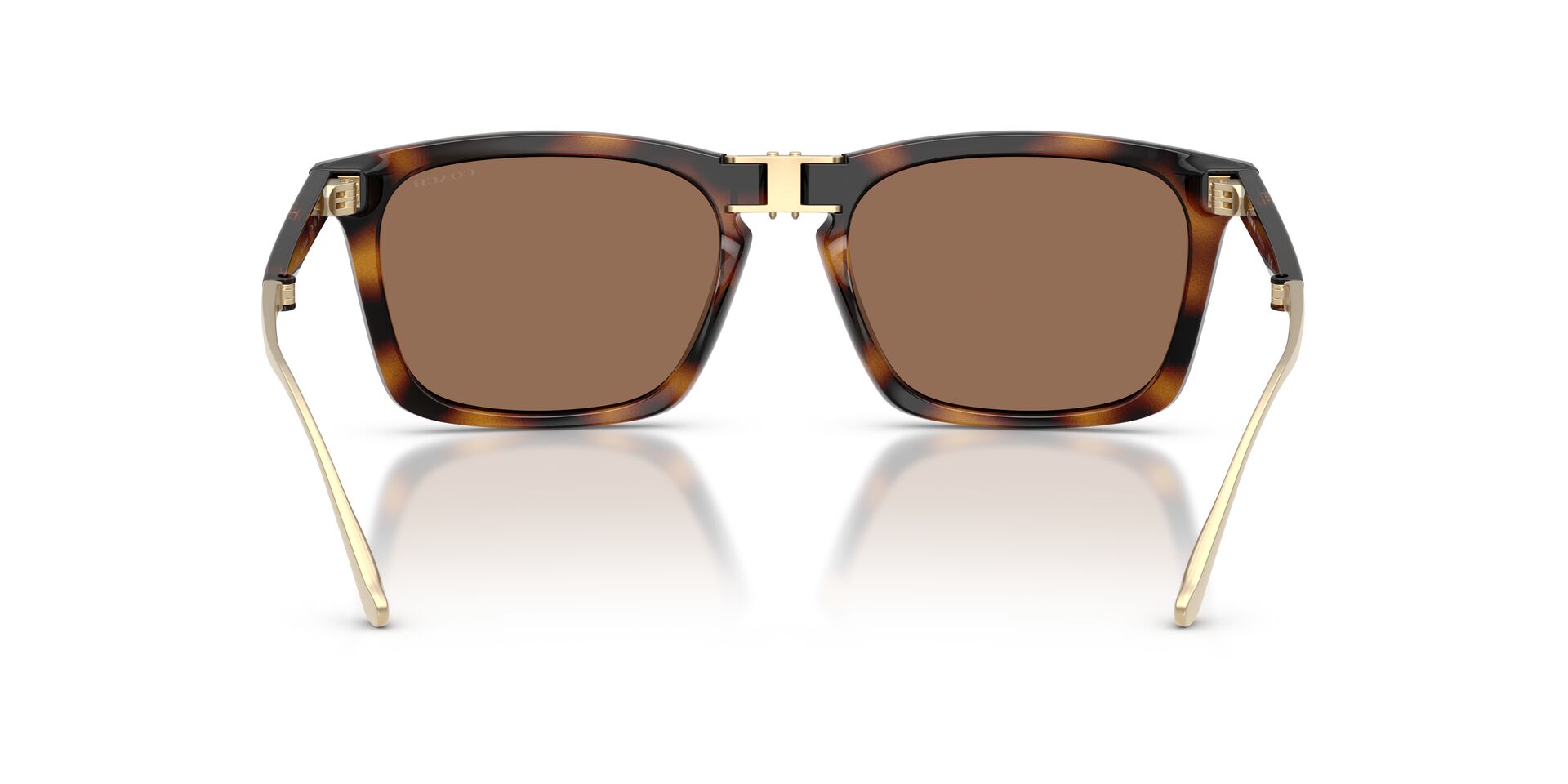 COACH HC8455 512013 56 SUNGLASSES